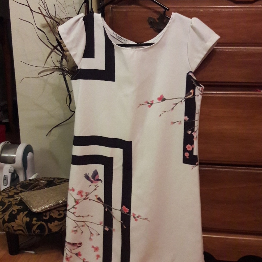 ADORABLE DRESS! ZARA BASIC